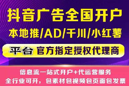 搜索引擎营销（SEM）的投放策略与效果评估——以某行业领先企业的案例分析